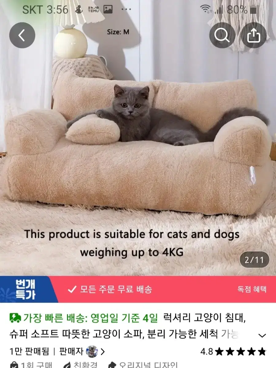 강아지 고양이 쇼파